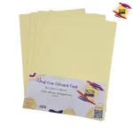 Pale Yellow Insert